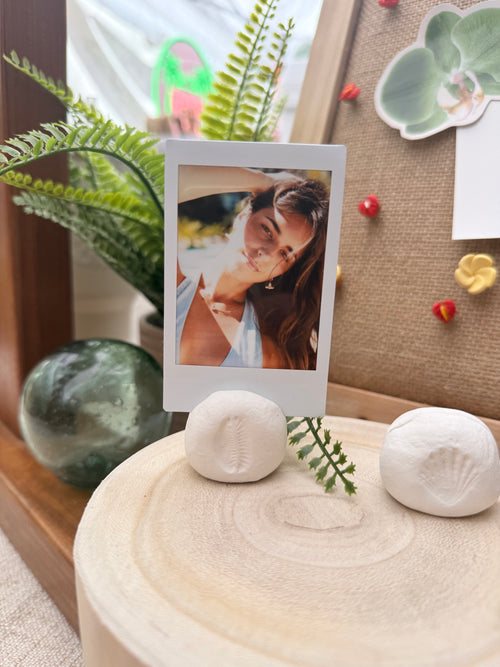 Cowrie Polaroid Holder