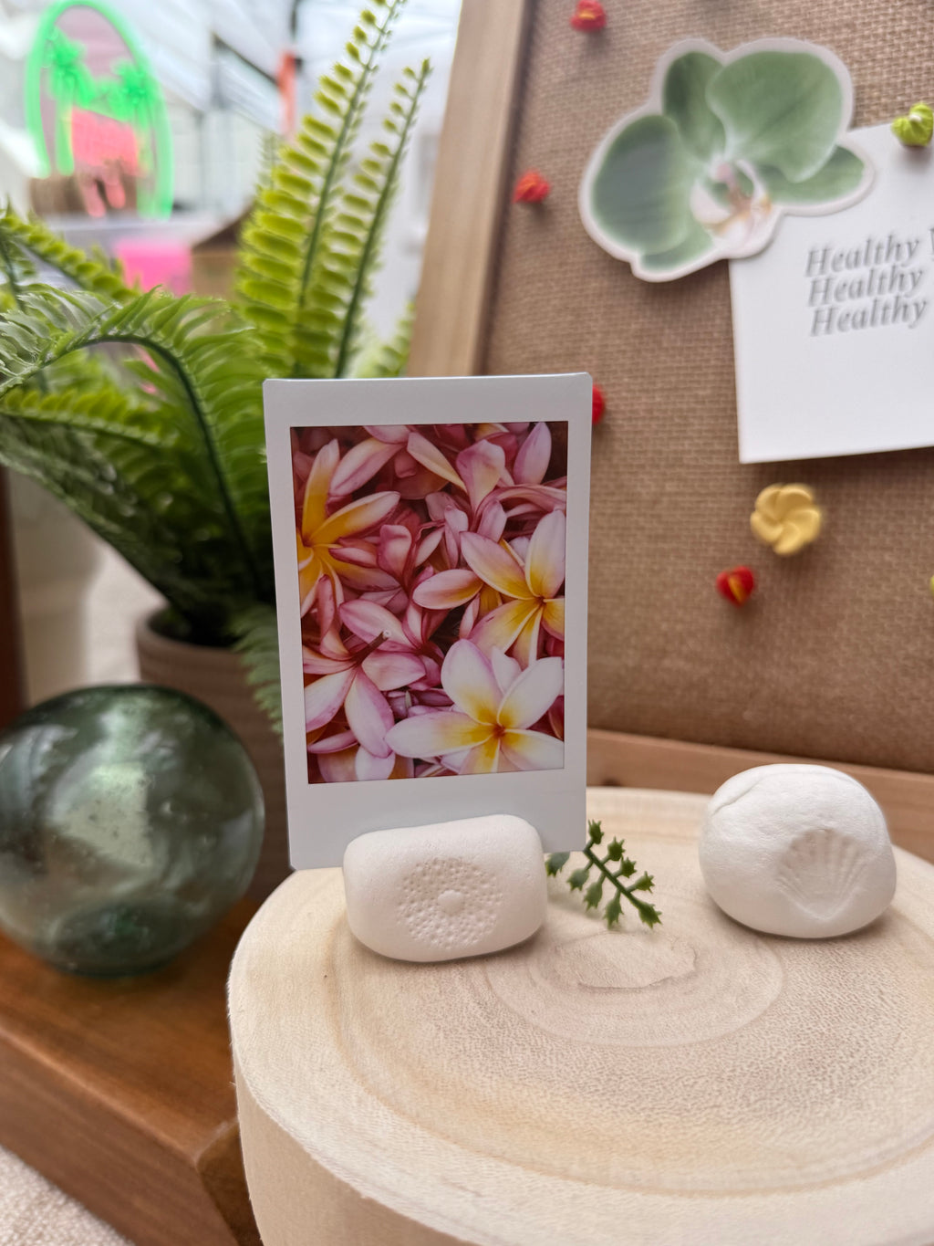 Sea Urchin Polaroid Holder