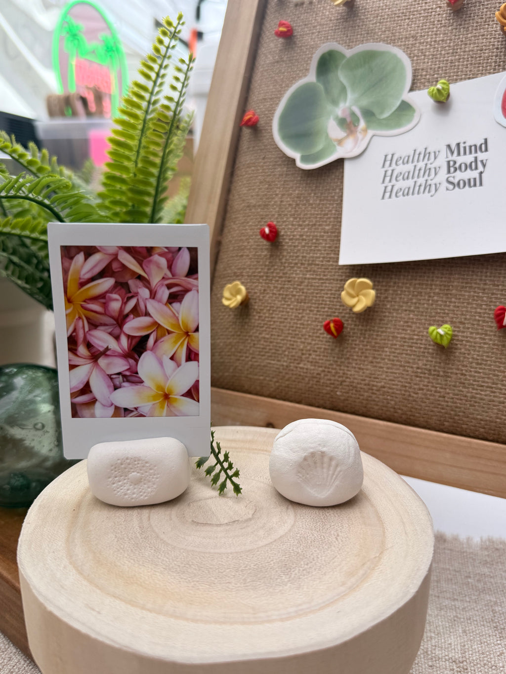 Sunrise Shell Polaroid Holder