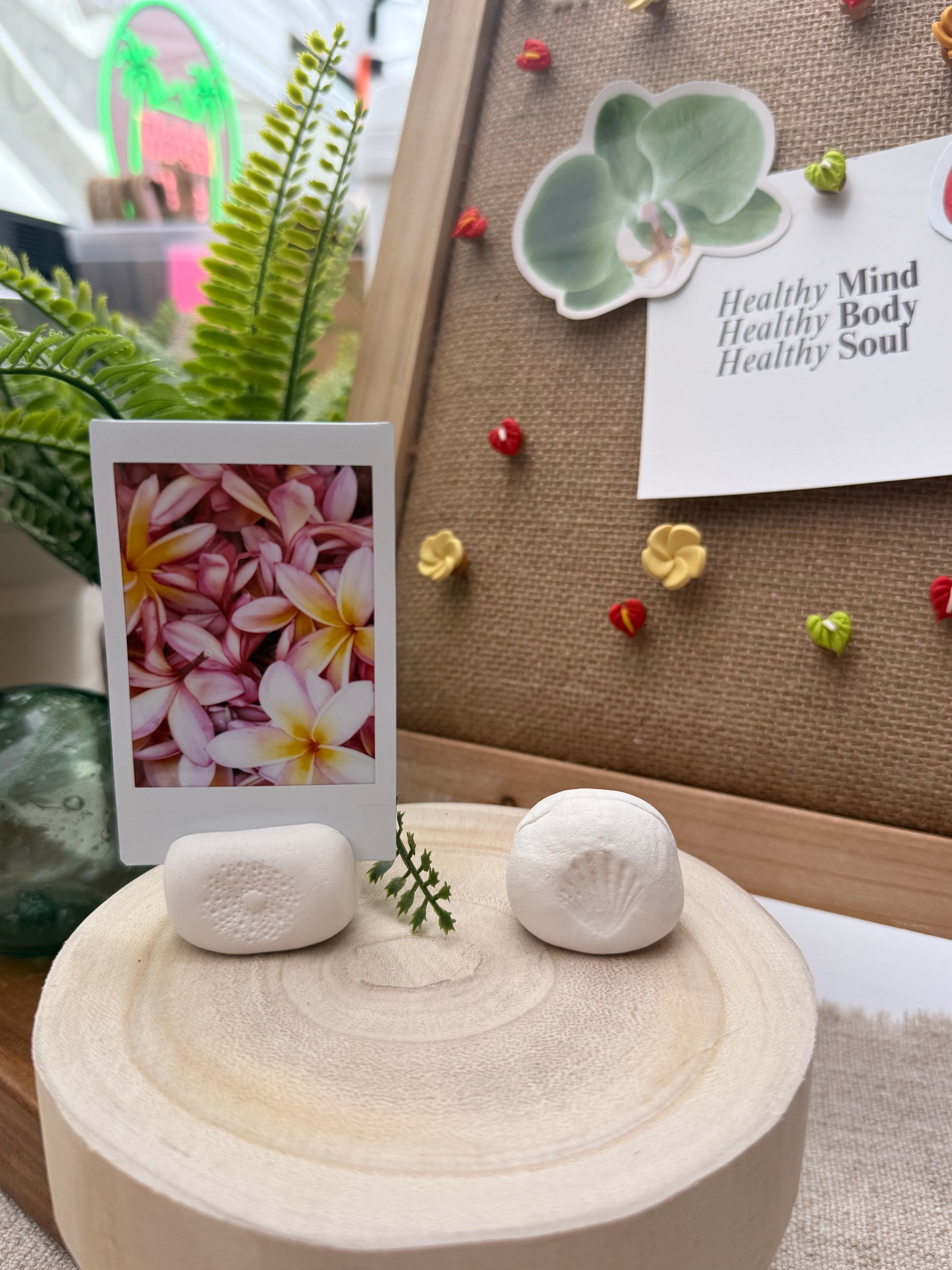 Sunrise Shell Polaroid Holder