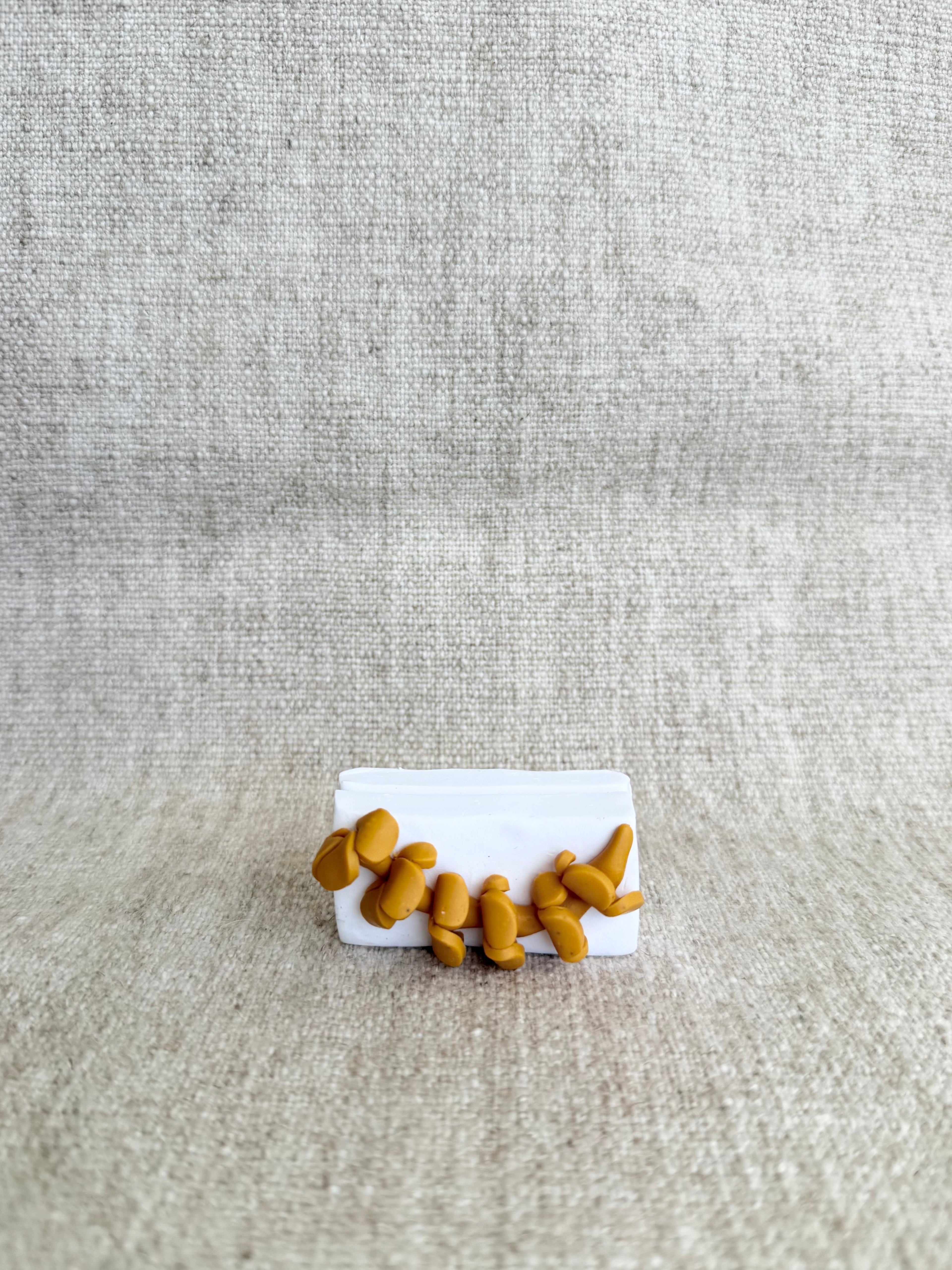 Puakenikeni Polaroid Holder