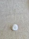 Cowrie Polaroid Holder