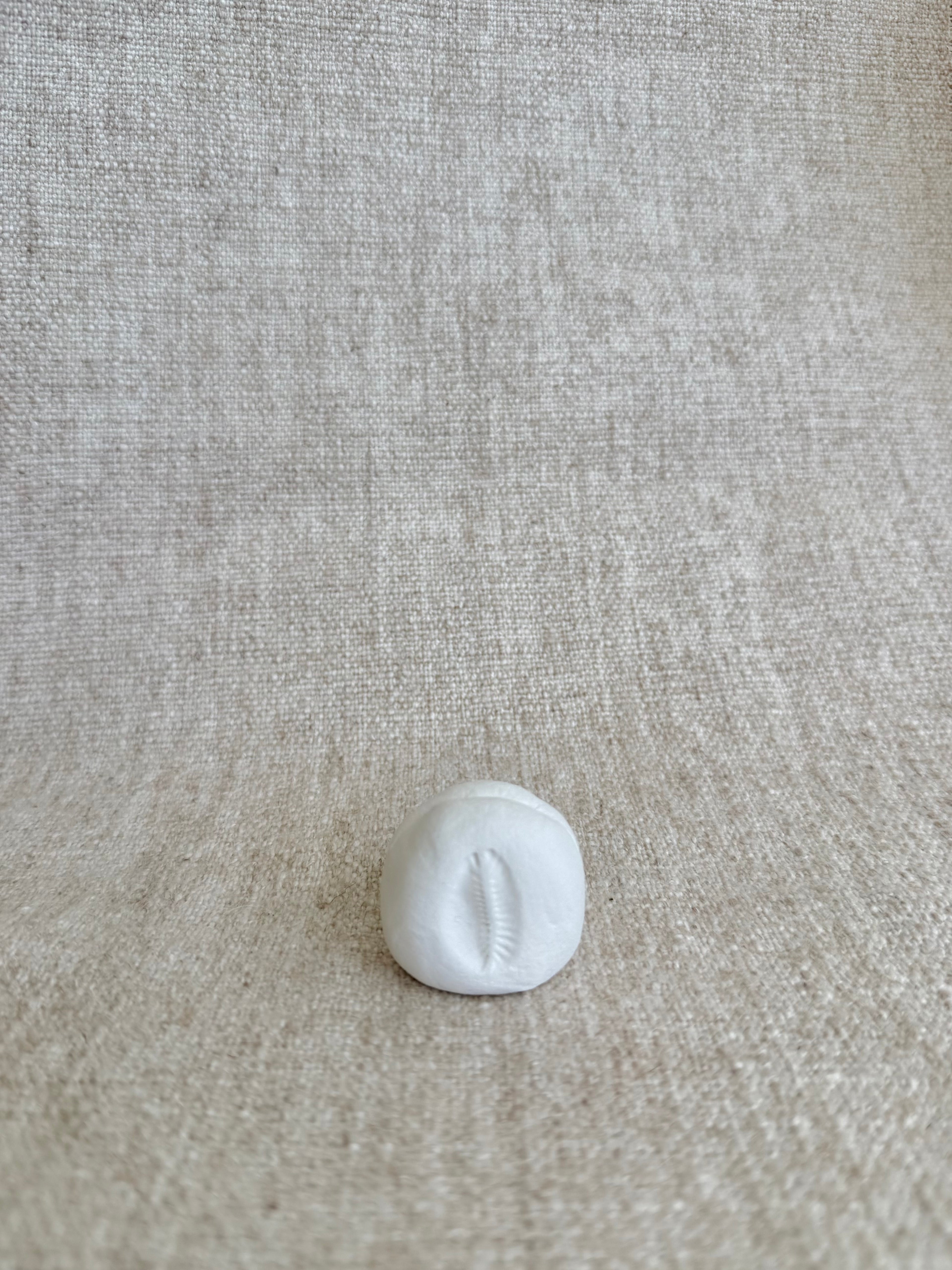 Cowrie Polaroid Holder